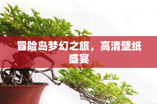 冒险岛梦幻之旅图片