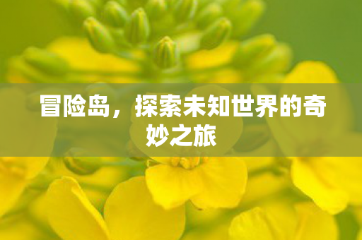 探索未知世界的奇妙之旅图片