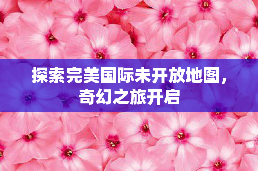 探索完美国际未开放地图图片