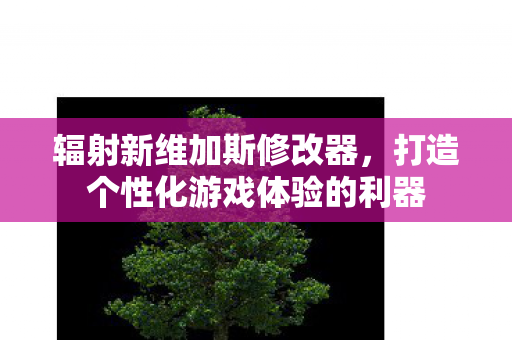 辐射新维加斯修改器,打造个性化游戏体验的利器 辐射新维加斯修改器,打造个性化游戏体验的利器
