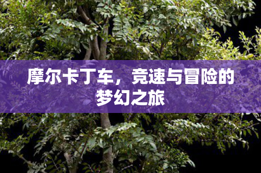 摩尔卡丁车,竞速与冒险的梦幻之旅 摩尔卡丁车,竞速与冒险的梦幻之旅