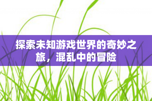 探索未知游戏世界的奇妙之旅,混乱中的冒险 探索未知游戏世界的奇妙之旅,混乱中的冒险