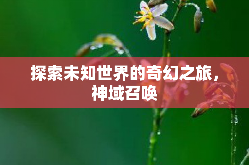 探索未知世界的奇幻之旅，神域召唤