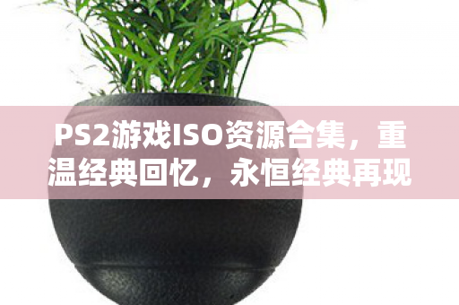 PS2游戏ISO资源合集，重温经典回忆，永恒经典再现
