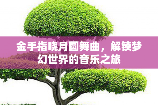金手指晓月圆舞曲,解锁梦幻世界的音乐之旅 金手指晓月圆舞曲,解锁梦幻世界的音乐之旅