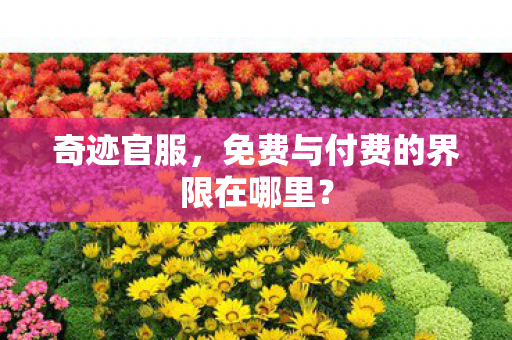 奇迹官服,免费与付费的界限在哪里? 奇迹官服,免费与付费的界限在哪里?