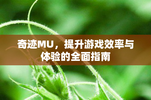 奇迹MU,提升游戏效率与体验的全面指南 奇迹MU,提升游戏效率与体验的全面指南