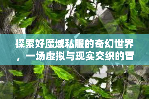 探索好魔域私服的奇幻世界图片
