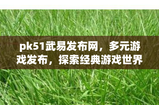 pk51武易发布网图片
