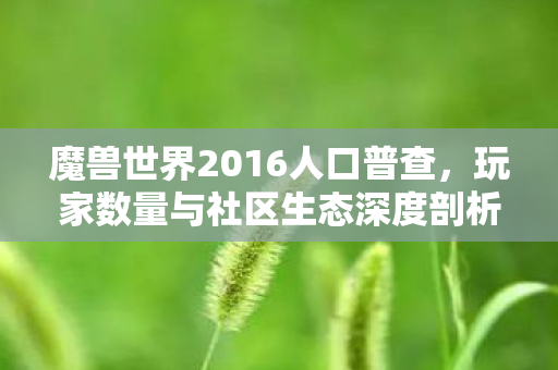 玩家数量与社区生态深度剖析图片