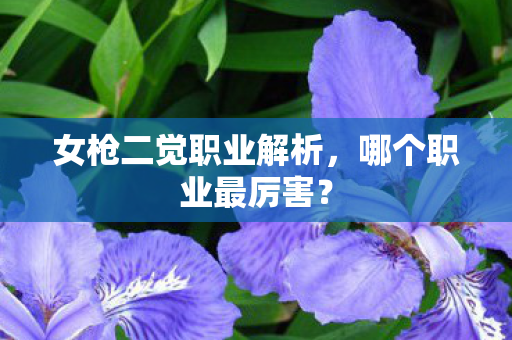 女枪二觉职业解析图片