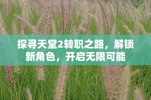 探寻天堂2转职之路图片