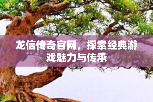 探索经典游戏魅力与传承图片