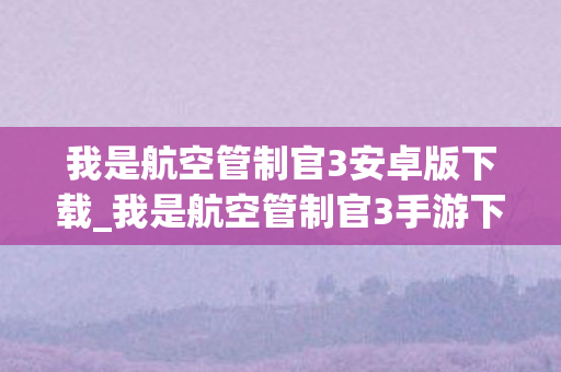 我是航空管制官3安卓版下载图片