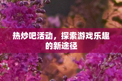 探索游戏乐趣的新途径图片