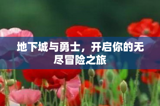 开启你的无尽冒险之旅图片