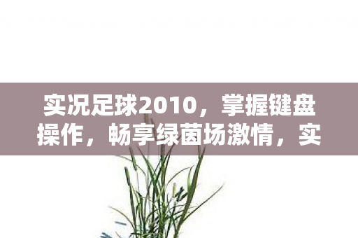 实况足球2010图片