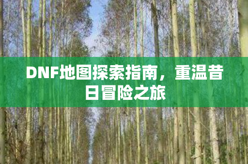 DNF地图探索指南图片