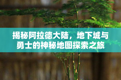 地下城与勇士的神秘地图探索之旅图片