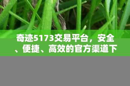 奇迹5173交易平台,安全、便捷、高效的官方渠道下载 奇迹5173交易平台,安全、便捷、高效的官方渠道下载