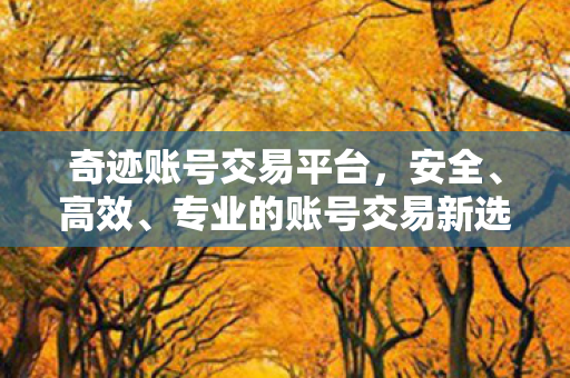 奇迹账号交易平台,安全、高效、专业的账号交易新选择 奇迹账号交易平台,安全、高效、专业的账号交易新选择