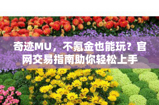 奇迹MU,不氪金也能玩?官网交易指南助你轻松上手 奇迹MU,不氪金也能玩?官网交易指南助你轻松上手