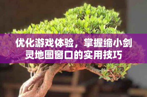 掌握缩小剑灵地图窗口的实用技巧图片