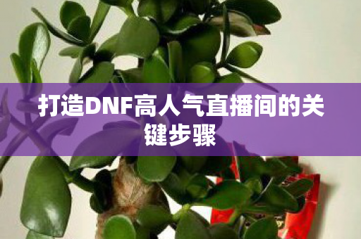 打造DNF高人气直播间的关键步骤图片