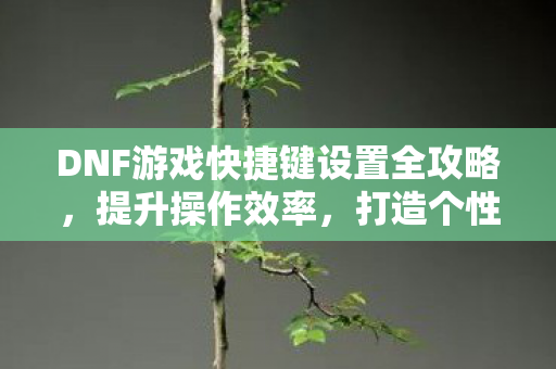 DNF游戏快捷键设置全攻略图片
