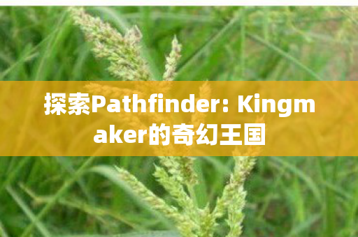 探索Pathfinder: Kingmaker的奇幻王国 探索Pathfinder: Kingmaker的奇幻王国