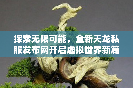全新天龙私服发布网开启虚拟世界新篇章图片