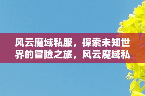 风云魔域私服，探索未知世界的冒险之旅，风云魔域私服，探索未知世界的冒险之旅