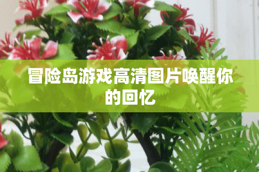 冒险岛游戏高清图片唤醒你的回忆