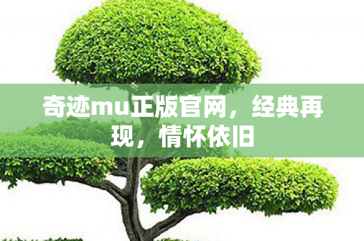 奇迹mu正版官网,经典再现,情怀依旧 奇迹mu正版官网,经典再现,情怀依旧