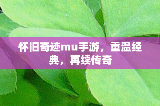 怀旧奇迹mu手游，重温经典，再续传奇