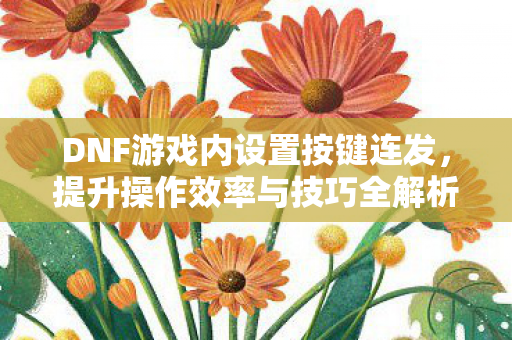 DNF游戏内设置按键连发图片