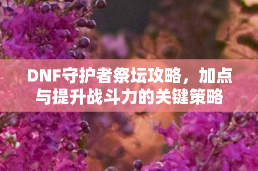 加点与提升战斗力的关键策略图片
