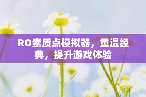 RO素质点模拟器图片