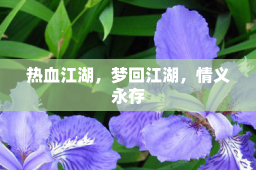 热血江湖图片