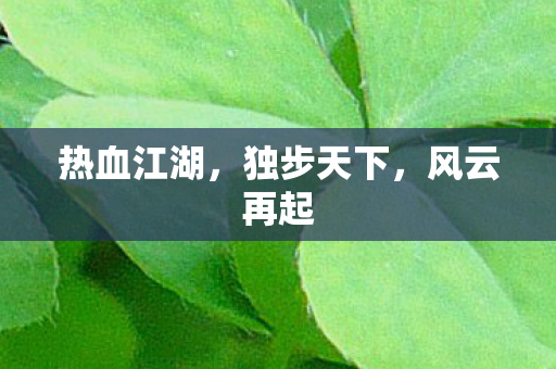 热血江湖图片