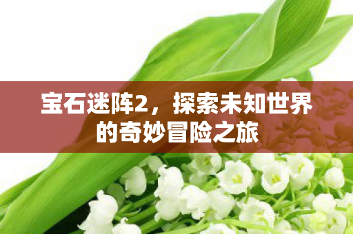 宝石迷阵2,探索未知世界的奇妙冒险之旅 宝石迷阵2,探索未知世界的奇妙冒险之旅