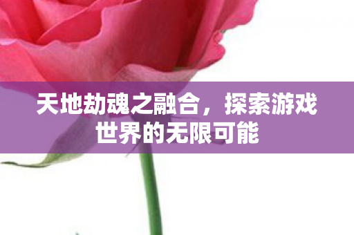 天地劫魂之融合,探索游戏世界的无限可能 天地劫魂之融合,探索游戏世界的无限可能