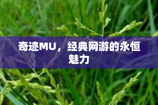经典网游的永恒魅力图片