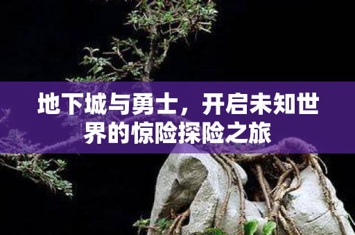 开启未知世界的惊险探险之旅图片