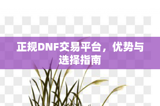 正规DNF交易平台图片