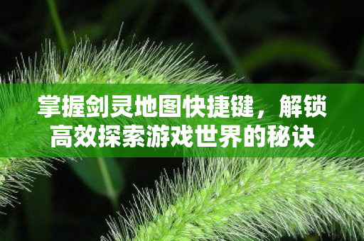 解锁高效探索游戏世界的秘诀图片