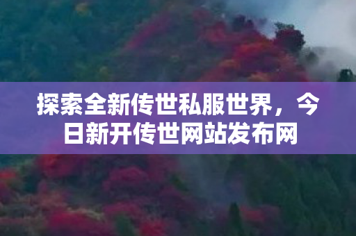 今日新开传世网站发布网图片