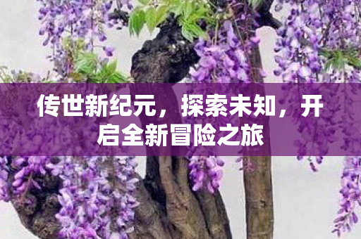 开启全新冒险之旅图片