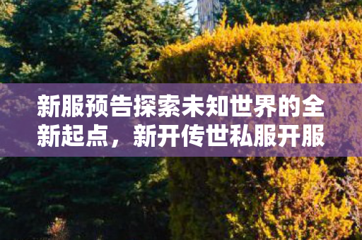 新服预告探索未知世界的全新起点图片