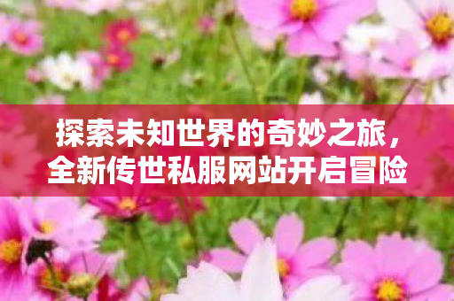 全新传世私服网站开启冒险图片